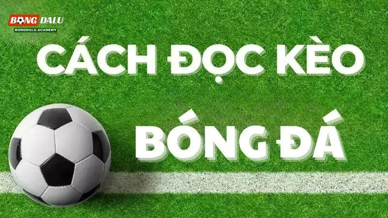 Sơ lược về cách đọc tỷ lệ kèo Châu Á cơ bản dễ như trở bàn tay cho bạn