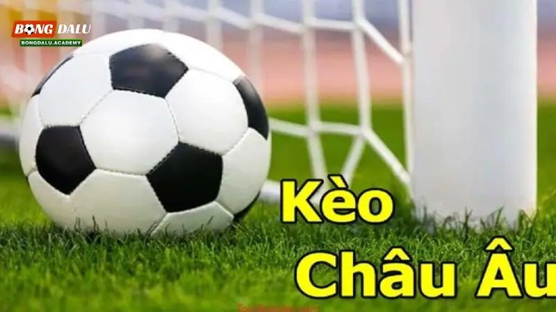Kèo châu Âu là gì và cách chơi kèo châu Âu chuẩn nhất 2 Kèo Châu Âu là gì vô cùng hấp dẫn