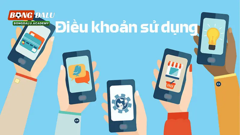Vai trò và ý nghĩa điều khoản sử dụng